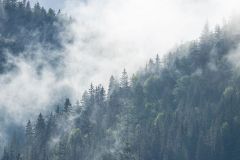 bvr_prolog_336
