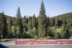 bvr26_pro_005