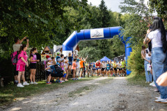 desiatka26_126_Large