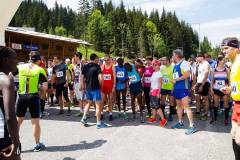 behvraji2015_067