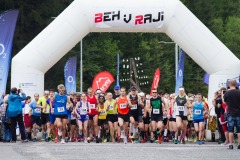 bvr16_161