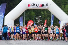 bvr16_162