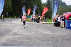 bvr16_733
