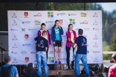 bvr_17_042