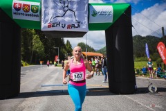 bvr_17_136