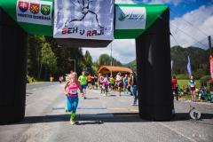 bvr_17_137