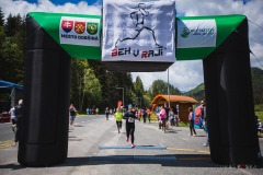 bvr_17_151