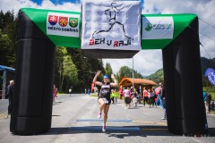 bvr_17_154