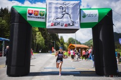 bvr_17_155