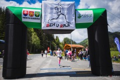 bvr_17_161