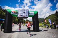 bvr_17_167