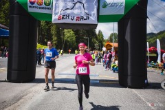 bvr_17_173