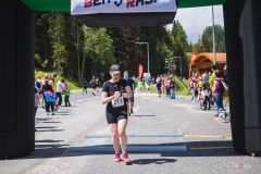 bvr_17_201
