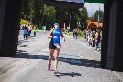 bvr_17_204