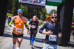 bvr_17_206
