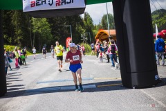 bvr_17_208