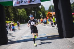bvr_17_209