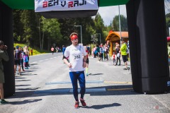 bvr_17_211