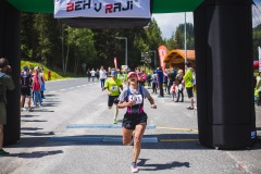 bvr_17_213