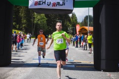 bvr_17_215