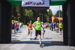 bvr_17_217