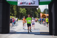 bvr_17_218