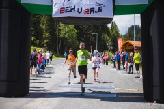 bvr_17_219