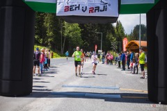 bvr_17_220