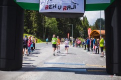 bvr_17_221