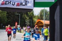 bvr_17_230