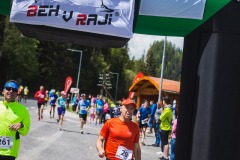 bvr_17_232