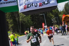 bvr_17_233
