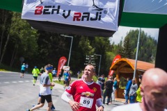 bvr_17_234