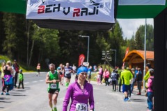 bvr_17_238