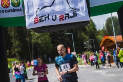 bvr_17_241
