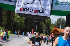 bvr_17_245