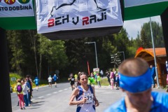 bvr_17_248