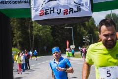 bvr_17_252
