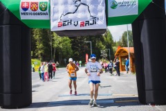 bvr_17_262