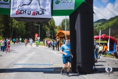 bvr_17_263