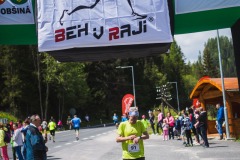 bvr_17_265