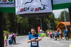 bvr_17_266