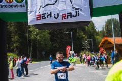 bvr_17_267