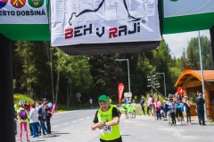 bvr_17_269