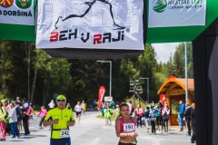 bvr_17_273