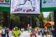 bvr_17_274