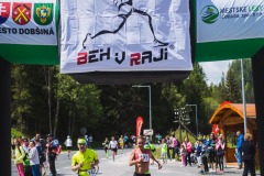 bvr_17_276
