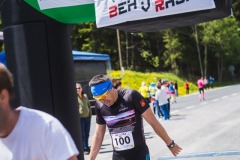 bvr_17_283