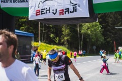 bvr_17_284