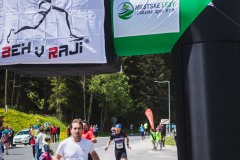 bvr_17_286